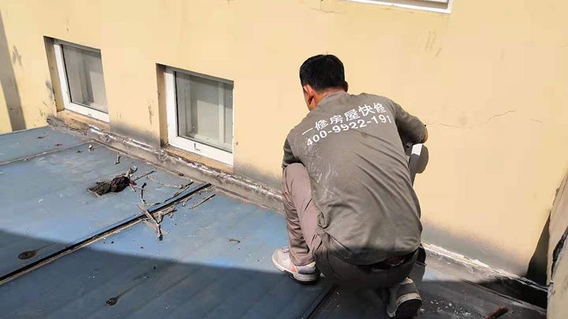 K11防水涂料与JS防水涂料寿命对比解析